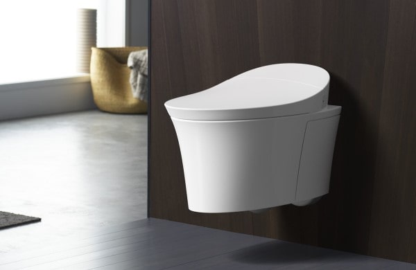 Wall Mounted Toilet