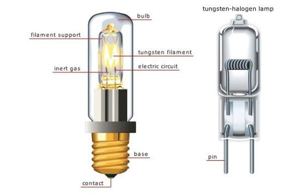 Bulb and Halogen